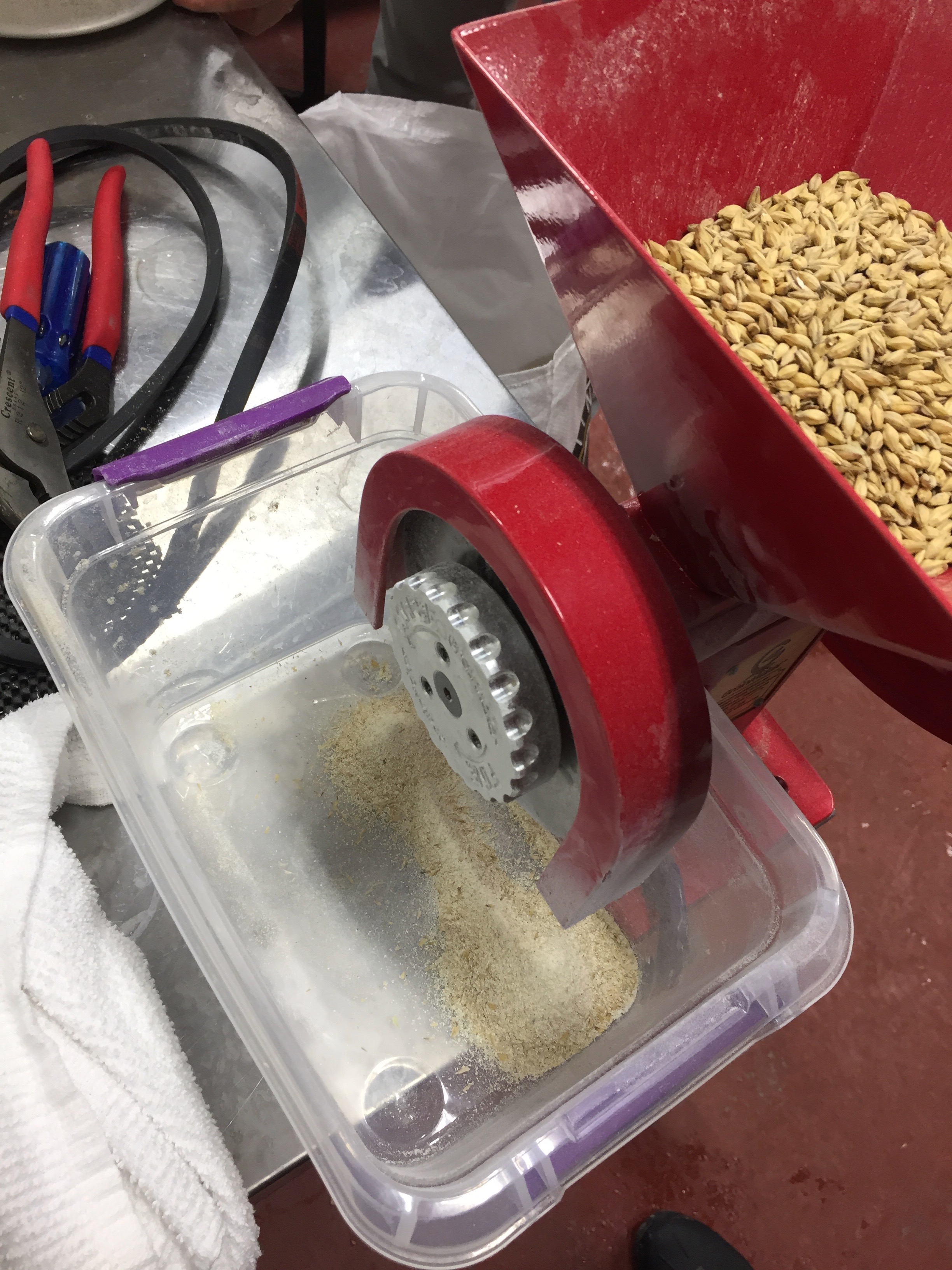 De Re Cervisia et Mulso, “on The Subject of Beer and Mulsum” EXARC